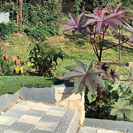 Wintzenheim-Kochersberg Au Fond Du Jardin 빌라 외부 사진